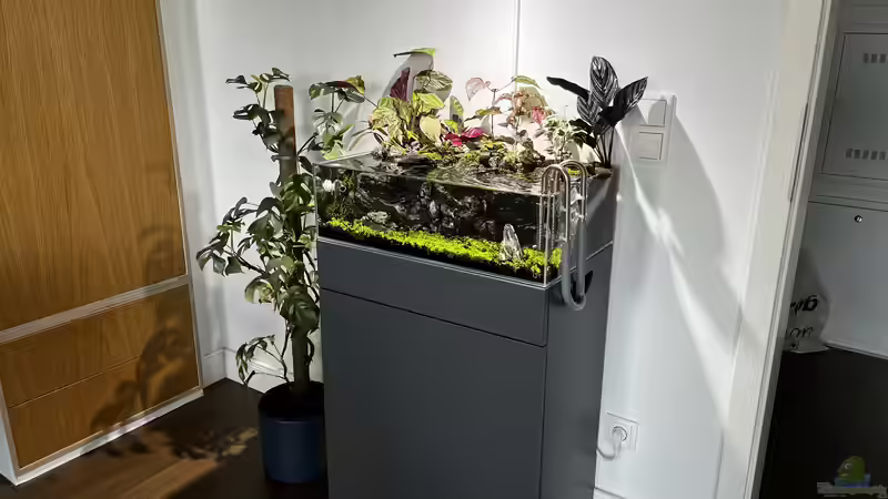 Update 08.06.23 von CzudemP (35)