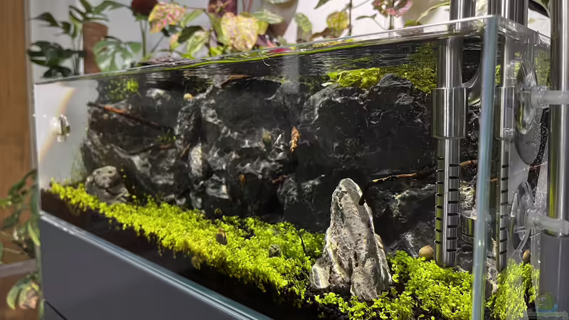 Update 08.06.23 von CzudemP (36)