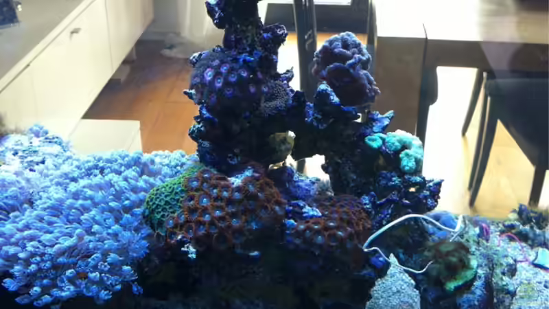 Update 08.10.2011 von JuWa (44)