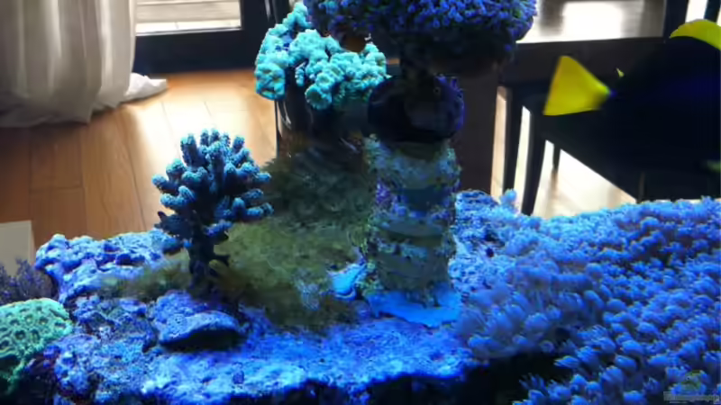 Update 08.10.2011 von JuWa (45)