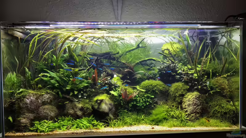 Update 09.09.19 von Der Nicky (10)