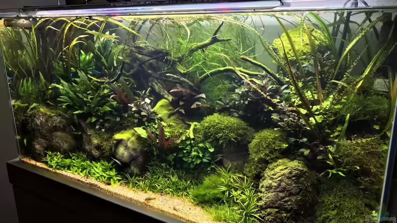 Update 09.09.19 von Der Nicky (11)