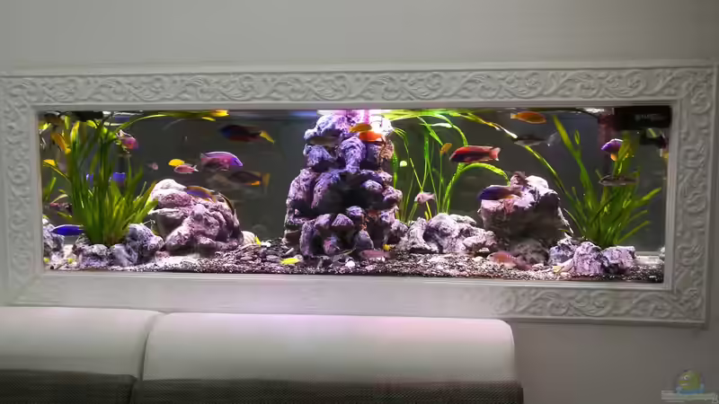 Update 10.8. 2017  von Irzzz (1)