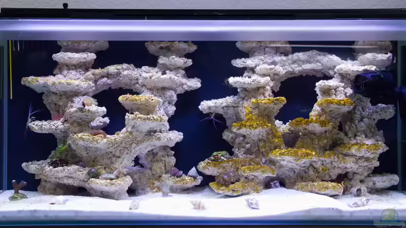 Update 11.04.2015 von mmbm78 (8)