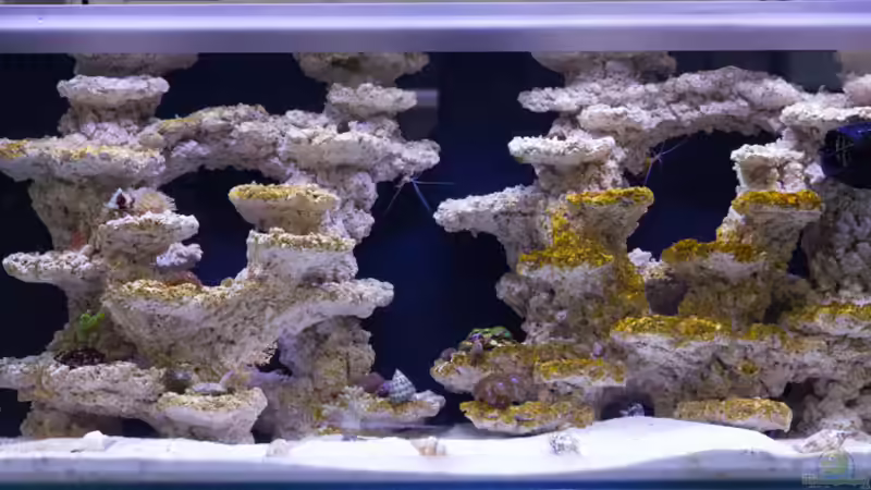 Update 11.04.2015 von mmbm78 (9)