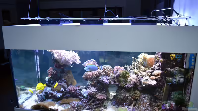 Update 11.2013 von JuWa (17)