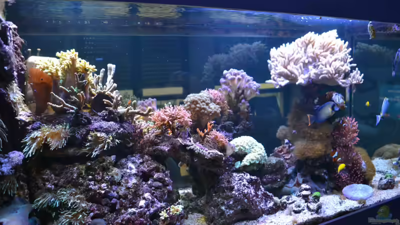 Update 11.2013 von JuWa (19)