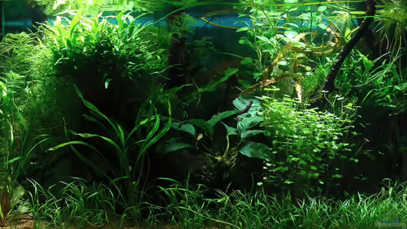 update 12.09.13 von Lukas &gt;&lt;°&gt; (6)