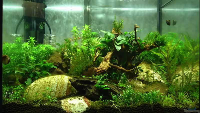 Update 12.11.11 von mike1963 (8)