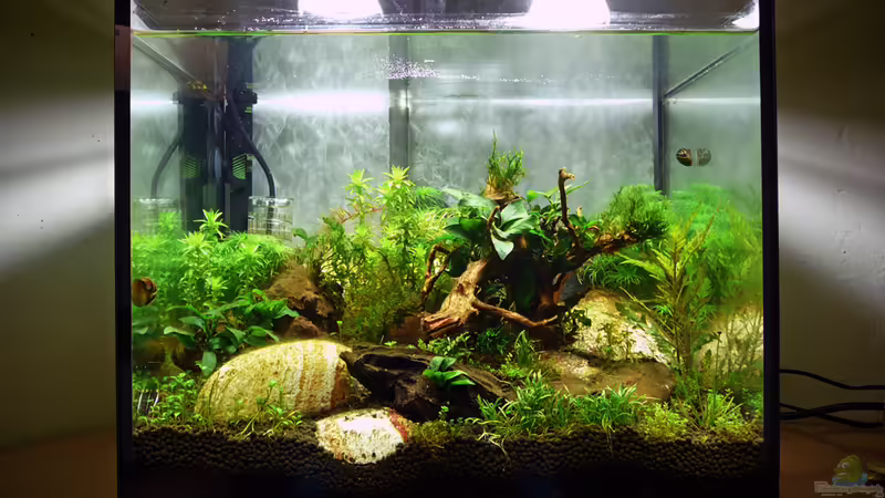 Update 12.11.11l von mike1963 (9)