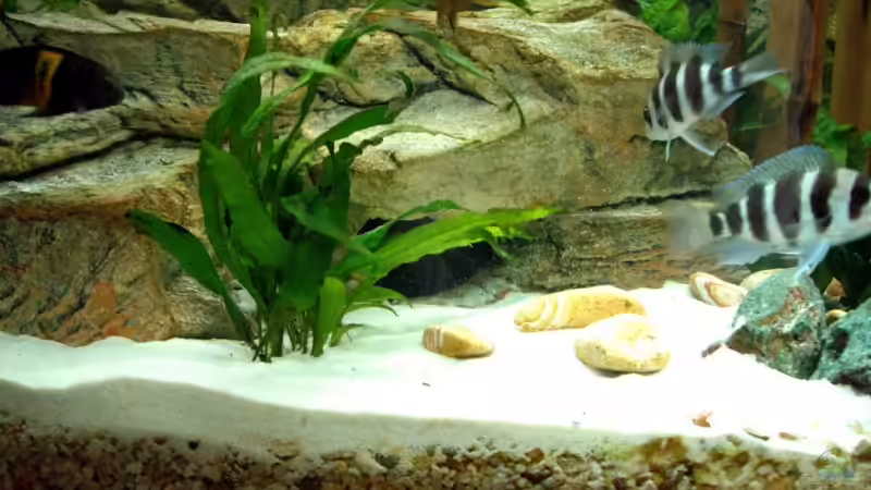 Update 12.12.06: Quarzsand feinste Körnung 2 von Rene Wiedemann (14)