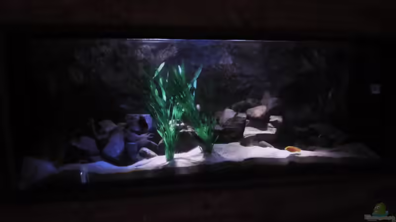 Update 13.12.2013 von bergstrasse (11)