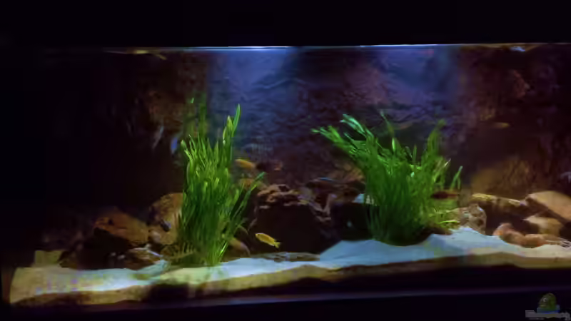 Update 13.12.2013 von bergstrasse (8)