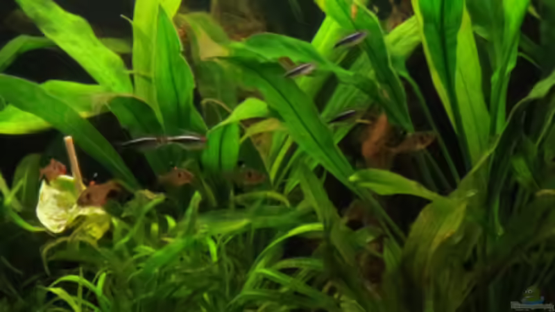 Update 14.04.2013 von Phantom (10)