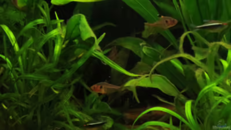 Update 14.04.2013 von Phantom (40)