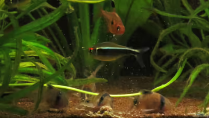 Update 14.04.2013 von Phantom (41)