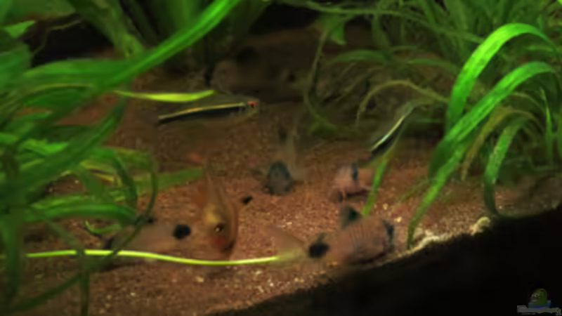 Update 14.04.2013 von Phantom (43)