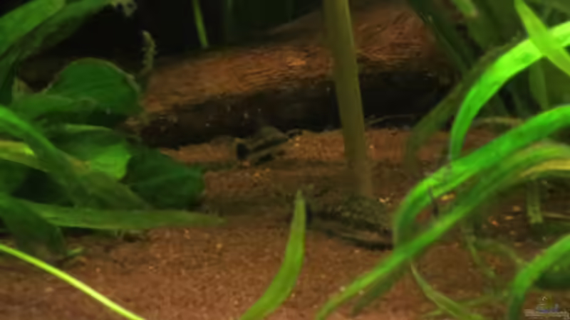 Update 14.04.2013 von Phantom (44)