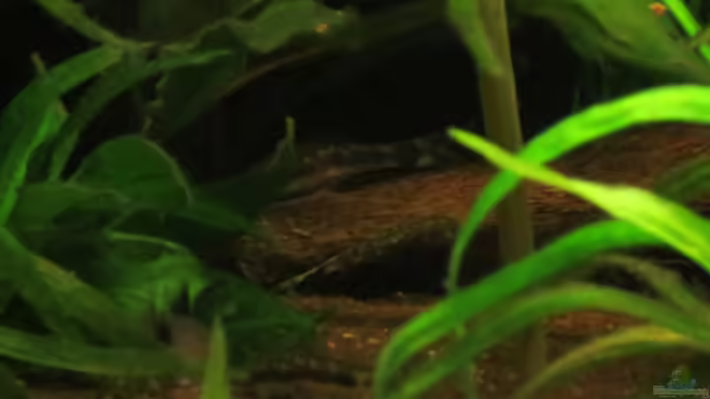 Update 14.04.2013 von Phantom (46)