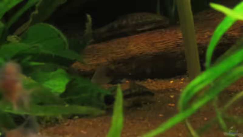 Update 14.04.2013 von Phantom (47)