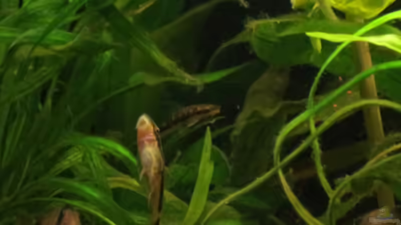 Update 14.04.2013 von Phantom (49)