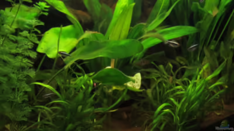 Update 14.04.2013 von Phantom (8)