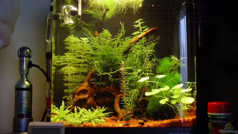 Update 16.01.2010 von Sailfish (4)