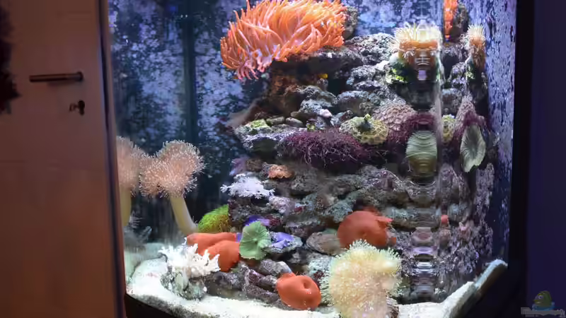 Update 16.03.14 von Brookshaw (4)