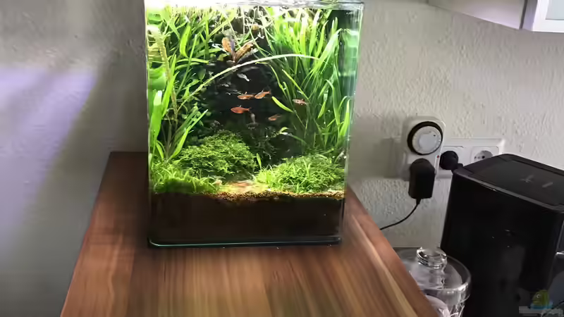 Update 16.10.19 von Der Nicky (2)