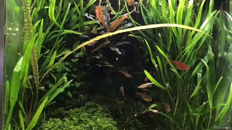 Update 16.10.19 von Der Nicky (3)