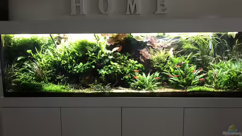 Update 16.10.19 von Der Nicky (5)