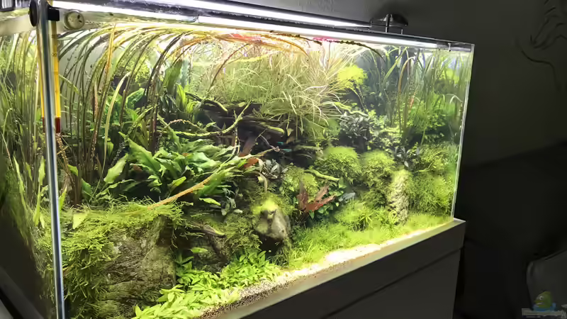 Update 16.10.19 von Der Nicky (6)