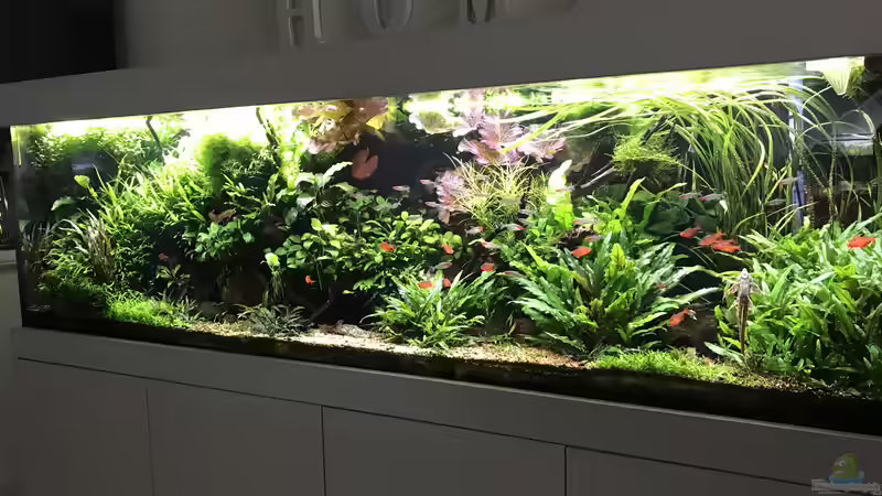 Update 16.10.19 von Der Nicky (7)