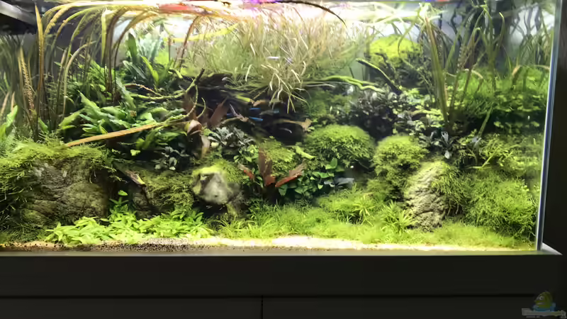 Update 16.10.19 von Der Nicky (7)