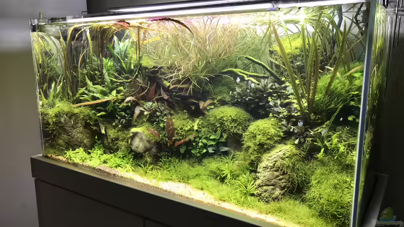 Update 16.10.19 von Der Nicky (8)