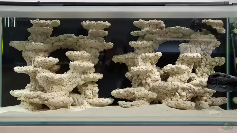 Update 20.03.2015 nach ca. 2 Wochen von mmbm78 (6)