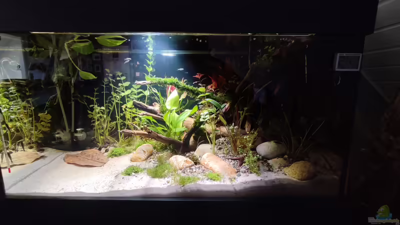 Update 20.04.23 von Amazonas (11)