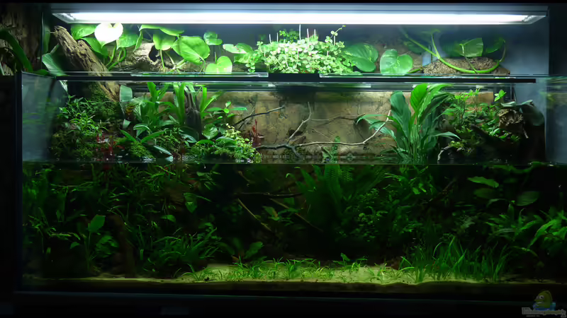 Update 22.11.2014 von DerImperator (18)