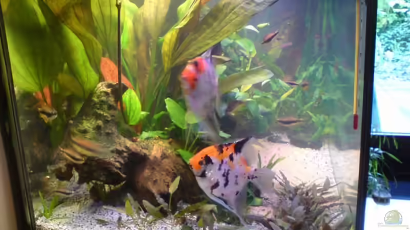 Update 24.07. Bild 1 von Sebastian Becker (5)