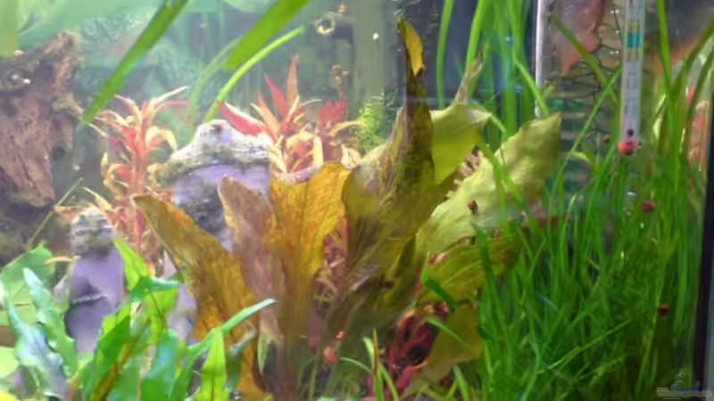 Update 24.07. Bild 2 von Sebastian Becker (7)