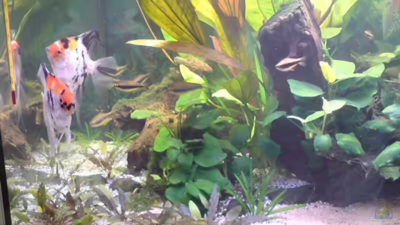 Update 24.07. Bild 3 von Sebastian Becker (6)