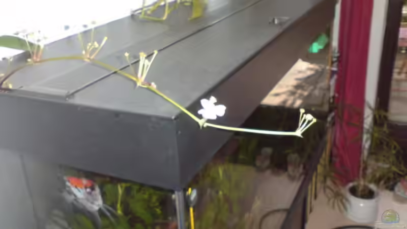 Update 24.08.08 von Sebastian Becker (9)