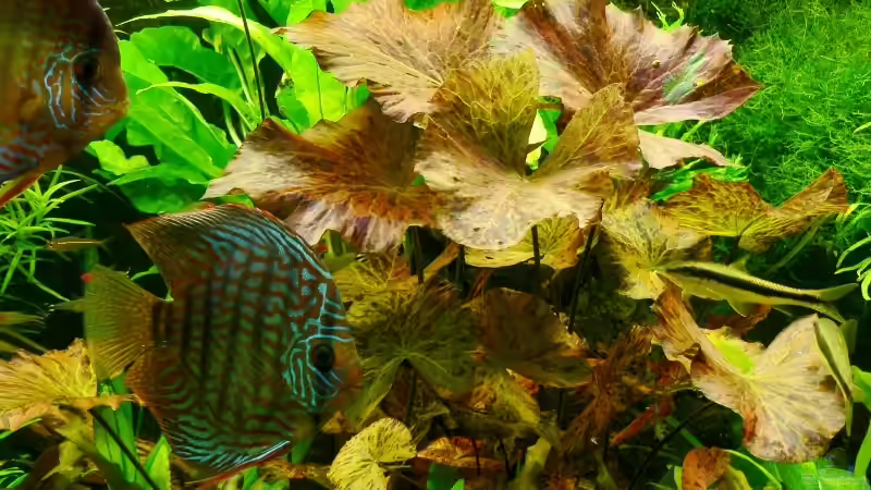 Update 25.08.13 von Der Nicky (30)