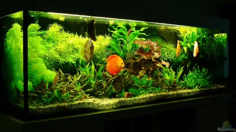 Update 25.08.13 von Der Nicky (7)