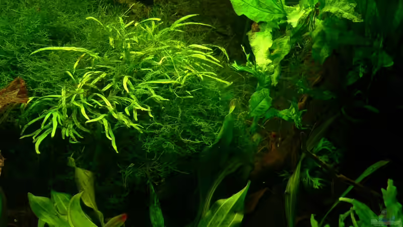 Update 25.08.13 von Der Nicky (8)