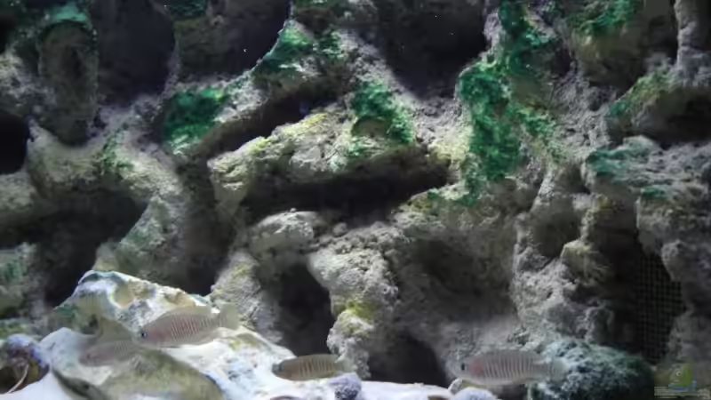 Update 25.09.08 von Oliver Knönagel (4)