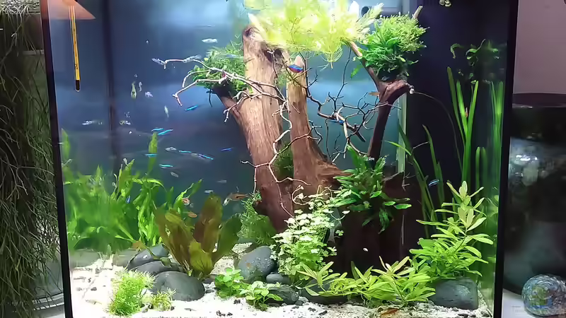 Update 26.10.2020 nach der Einfahrphase von Grünhexe (1)