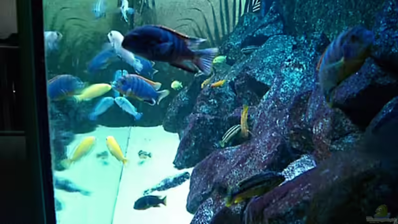 Update 26.12.2007 von Christian Dornieden (23)