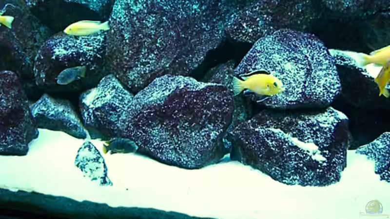 Update 26.12.2007 von Christian Dornieden (24)