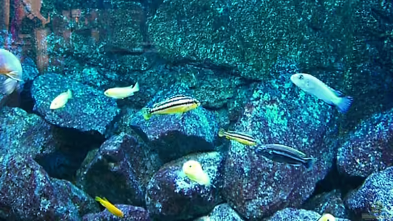 Update 26.12.2007 von Christian Dornieden (29)